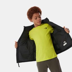 product/t/h/the-north-face_nf0a7wq-ojk3_noir_6.jpg