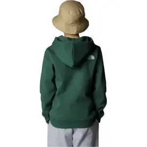 Hooded sweatshirt The North Face Drew Peak P/O image-2