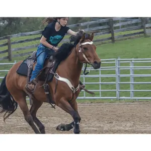 Tappeto western per cavallo ThinLine image-3