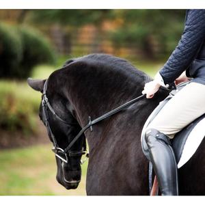 Rubberen teugels voor paard ThinLine image-2