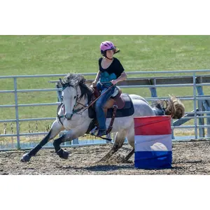 Westernteppich für Pferde ThinLine Pro-Tech image-2