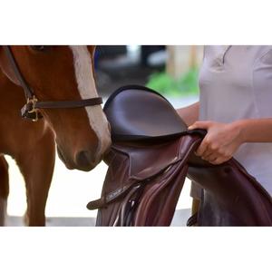 Tapis de selle pour cheval ThinLine image-1