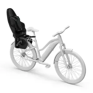 Kindersitz Thule Yepp Maxi 2 image-3
