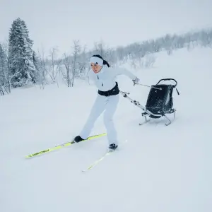 Ski maintenance kit Thule Chariot image-3