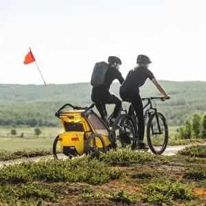 Remolque de carro Thule Sport 2 image-0