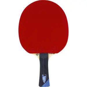 Raquette de tennis de table Tibhar Master Felix Lebrun image-0