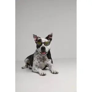 Απωθητικό για σκύλους Tickless Eco Pet image-2