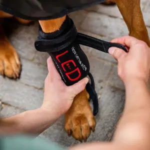 LED Red Light Therapy Bandages for Dogs Horseware image-1