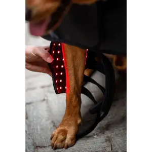 LED Red Light Therapy Bandages for Dogs Horseware image-2