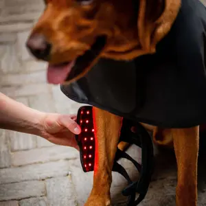 LED Red Light Therapy Bandages for Dogs Horseware image-4