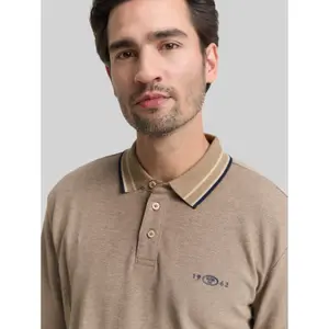 Long Sleeve Polo Tom Tailor image-4