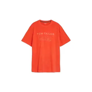 Logo printed T-shirt Tom Tailor image-0