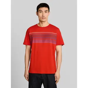 Printed Jersey T-shirt Tom Tailor image-1