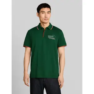 Printed Polo Shirt Tom Tailor image-1