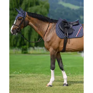 Mantilla de salto Tommy Hilfiger Equestrian Stanford image-4