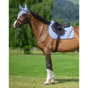 Mantilla de salto Tommy Hilfiger Equestrian Stanford image-2