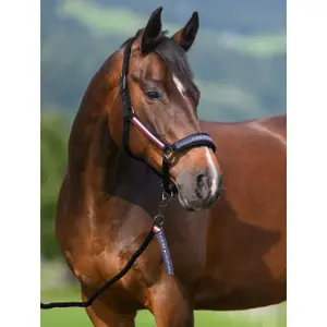 Lóvezető és kötél szett Tommy Hilfiger Equestrian Yale image-2