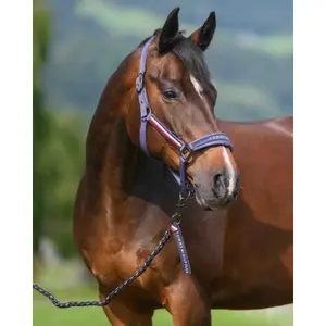 Lóvezető és kötél szett Tommy Hilfiger Equestrian Yale image-1