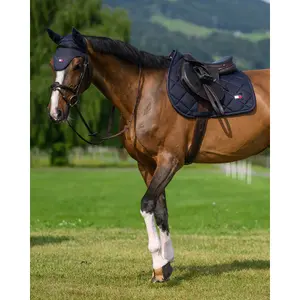 Tapis de CSO Tommy Hilfiger Equestrian Columbia image-2