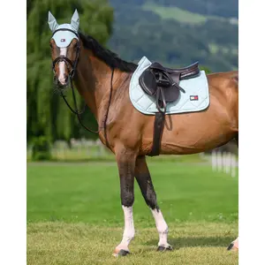 Tapis de CSO Tommy Hilfiger Equestrian Columbia image-2