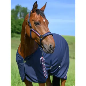 Ensemble licol et longe Tommy Hilfiger Equestrian Yale image-1