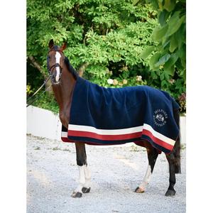 product/t/o/tommy-hilfiger-equestrian_th16hrug945-045_multi_5.jpg