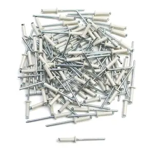 5079-set-mit-100-nieten-nummernschild-top-plaq-weiss-silber-4x16-mm