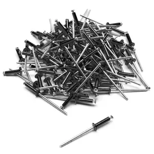 5081-set-mit-100-nieten-nummernschild-top-plaq-schwarz-silber-4x16-mm