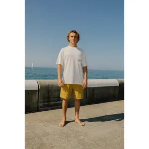 Pantalones cortos de surf Town & Country Surf Designs Pearl 20" image-3