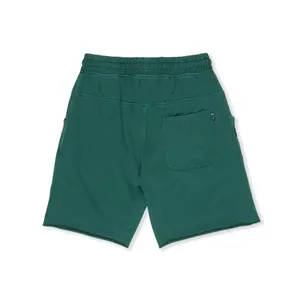 Pantalones cortos de surf Town & Country Surf Designs Mist image-1