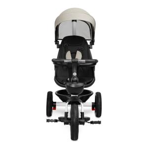 Tricycle Toyz Dash image-4