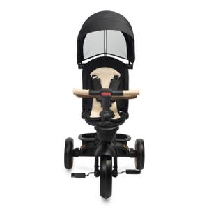 Tricycle Toyz Saber image-4