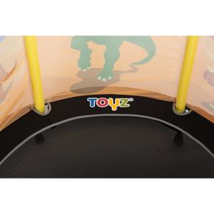 Trampolim de lazer Toyz image-4