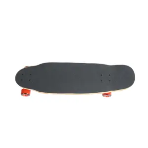 Skateboard Tracker Freeride Pool Cruise