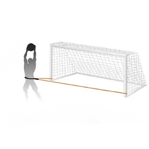 Hårsnor Tremblay CT