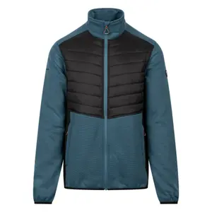 Polar Trespass Hanlonton