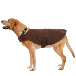 Hundemantel Trespass Artemis image-1