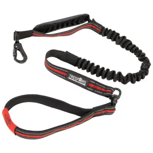 Dog leash Trespass Zathena image-0