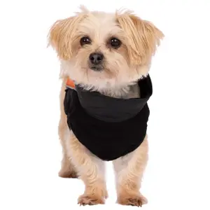 Hundemantel Trespass Beedle image-2