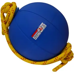 Special medicinal ball with cord guidance Trial image-0