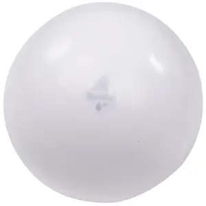 g4200-gym-ball-trial-weiss