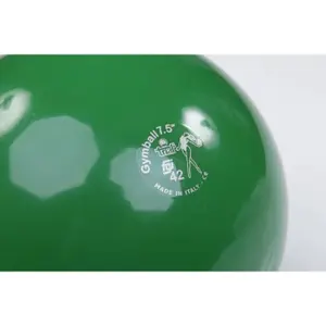 Gym ball Trial image-2