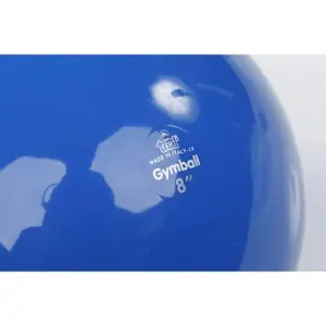 Gym ball Trial image-1