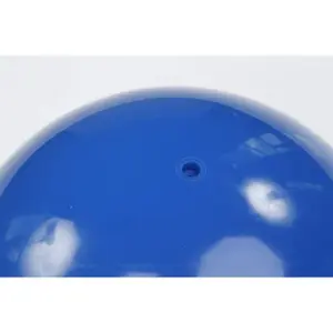 Gym ball Trial image-2