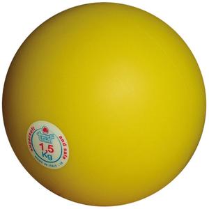 l2906-indoor-throwing-weights-trial-yellow