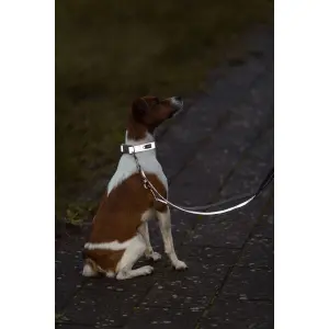 Dog collar Trixie Premium Reflect image-4