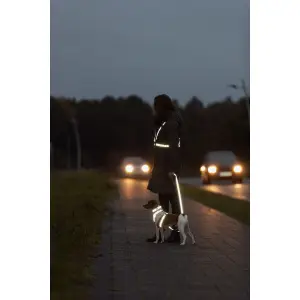 Dog collar Trixie Premium Reflect image-5