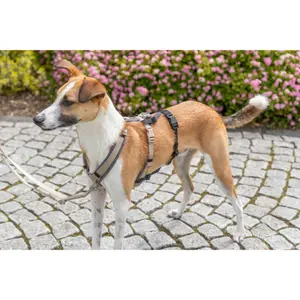 Accessoar för sele panikadapter Trixie Stay image-3
