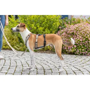 Accessoar för sele panikadapter Trixie Stay image-4