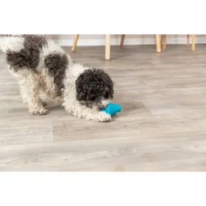 Naturgummi Hundematdispenser Trixie image-3
